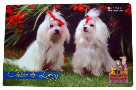 PET BOWL PLACEMATS $15 EACH OR SET OF 4-$55